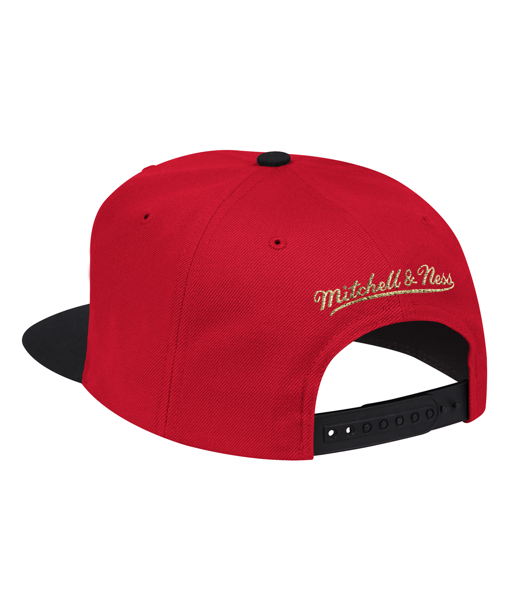Chicago Bulls Mitchell & Ness The Champ Snapback